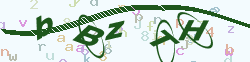验证码